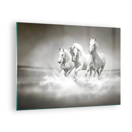 Obraz na szkle - Trzy białe konie galopujące po wodzie - 70x50cm - Białe szaleństwo - Nowoczesna dekoracja ścienna do salonu i sypialni ARTTOR