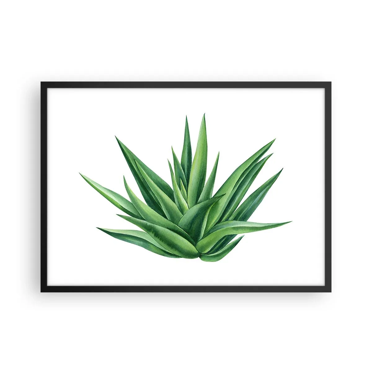 Plakat w czarnej ramie - Soczysta zielona roślina na białym tle - 70x50cm - Zieleń – siła – życie - Nowoczesna dekoracja ścienna do salonu i sypialni ARTTOR