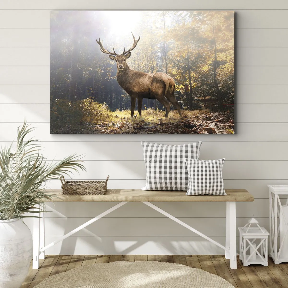 Obraz na płótnie - Jeleń w jesiennym lesie z promieniami słońca - 70x50cm - W pełnym majestacie - Nowoczesna dekoracja ścienna do salonu i sypialni ARTTOR
