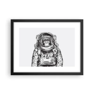 Plakat w czarnej ramie - Alternatywna ewolucja - 40x30 cm