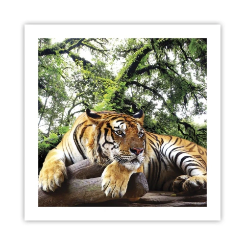 Plakat - Z wyrazami szacunku - 50x50 cm