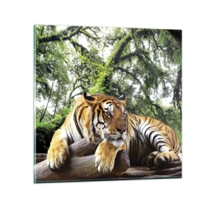 Obraz na szkle - Z wyrazami szacunku - 40x40 cm