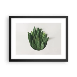 Plakat w czarnej ramie - Nieposkromiona ciekawość - 40x30 cm