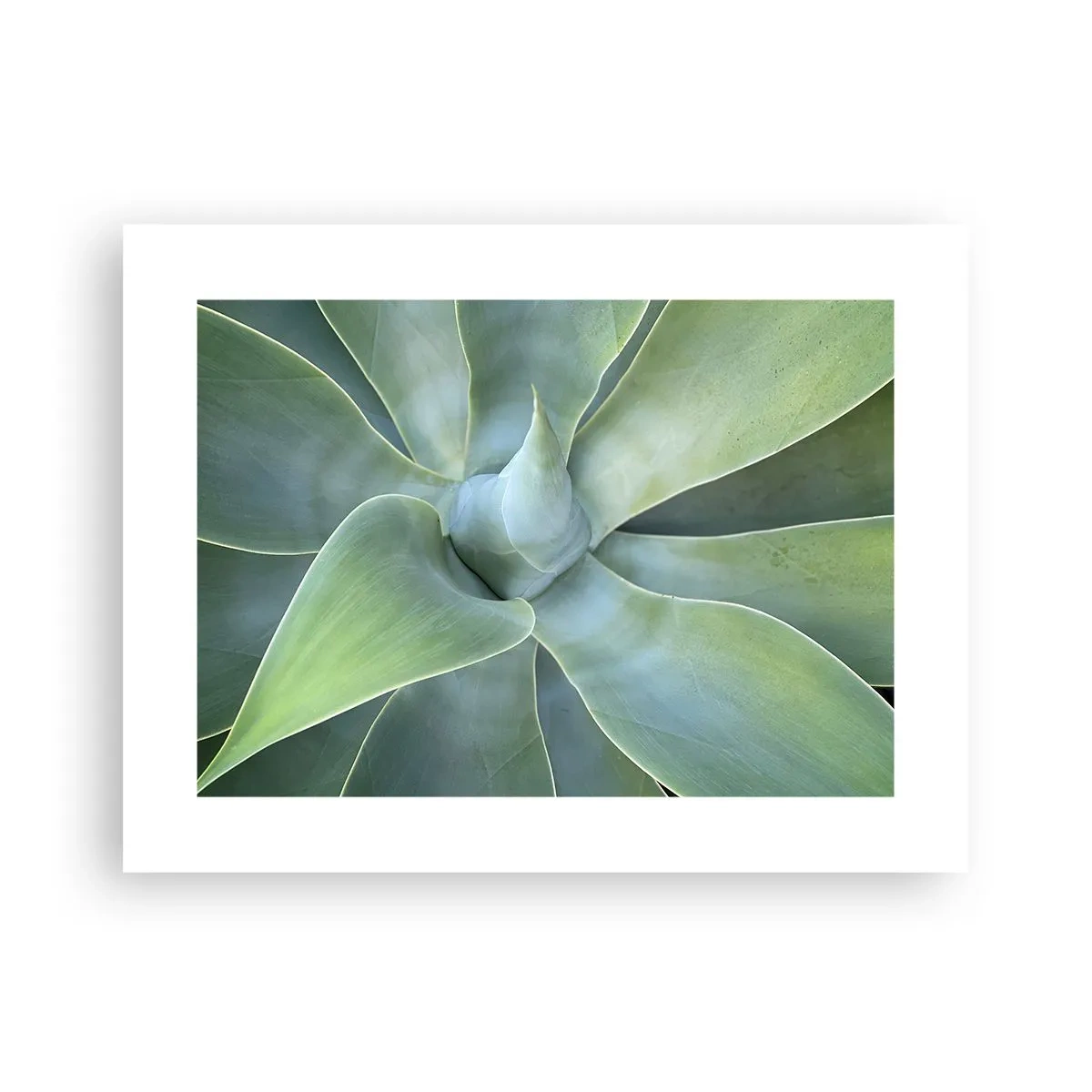 Plakat - Narodziny zieleni - 40x30 cm