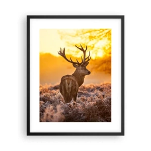 Plakat w czarnej ramie - Król jesiennego lasu - 40x50 cm