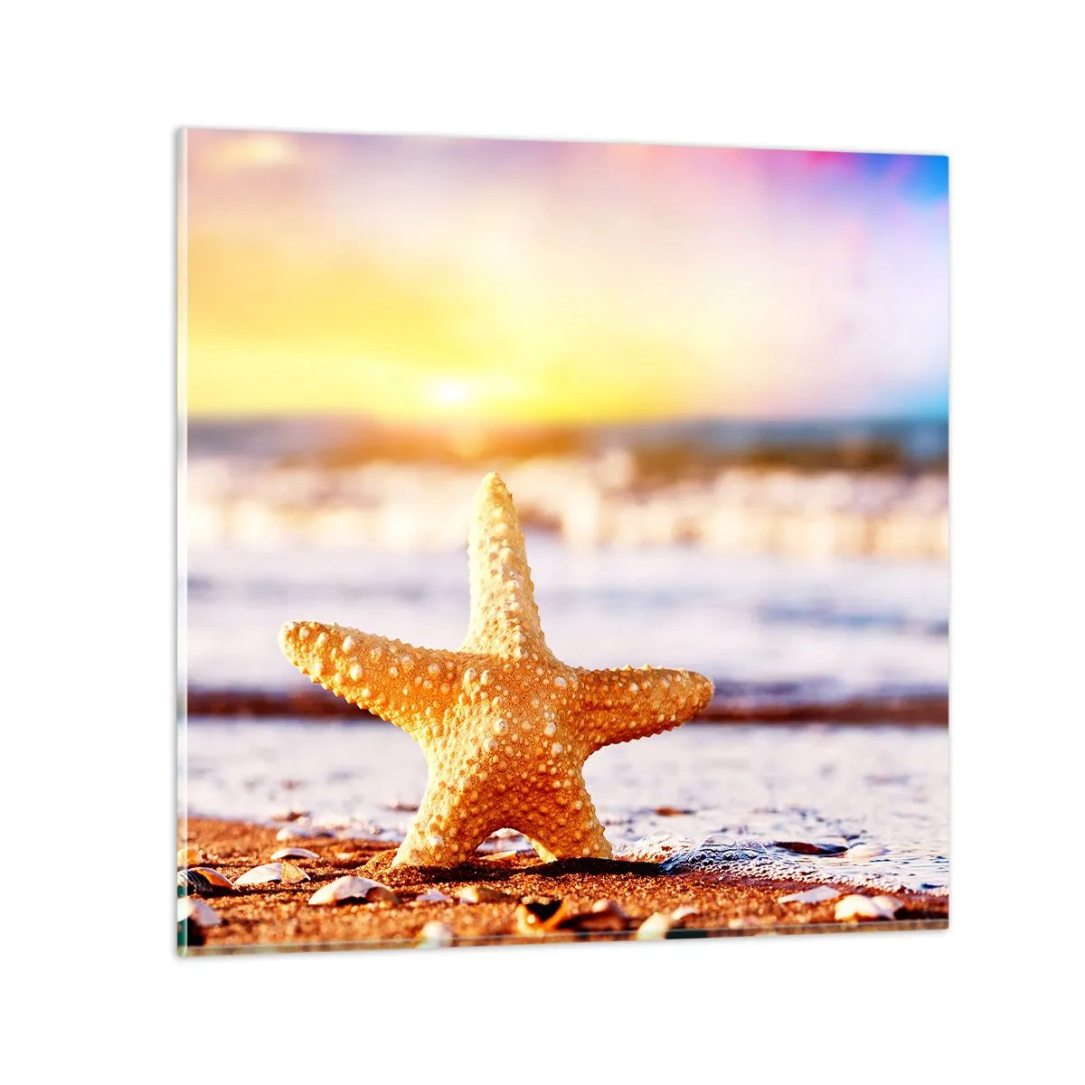 Obraz na szkle - Morski podarunek - 50x50 cm