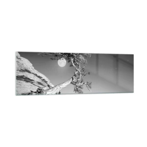 Obraz na szkle - Czarno-białe drzewo na klifie z księżycem w tle - 160x50cm - Zwycięska wojowniczka - Nowoczesna dekoracja ścienna do salonu i sypialni ARTTOR