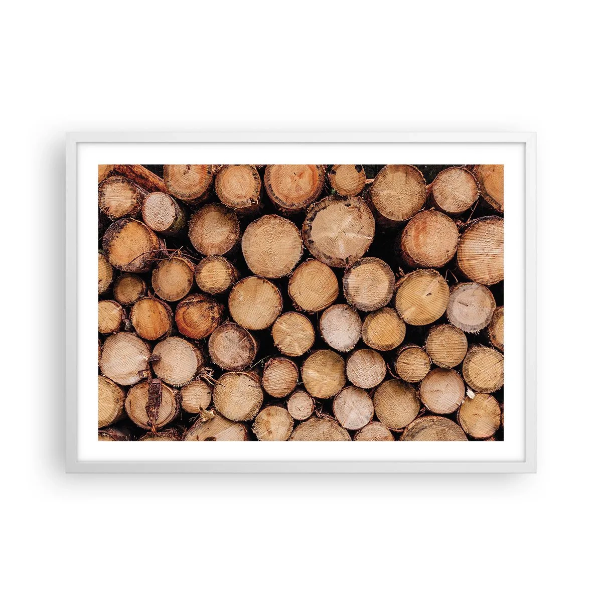 Plakat w białej ramie - Nowy początek - 70x50 cm