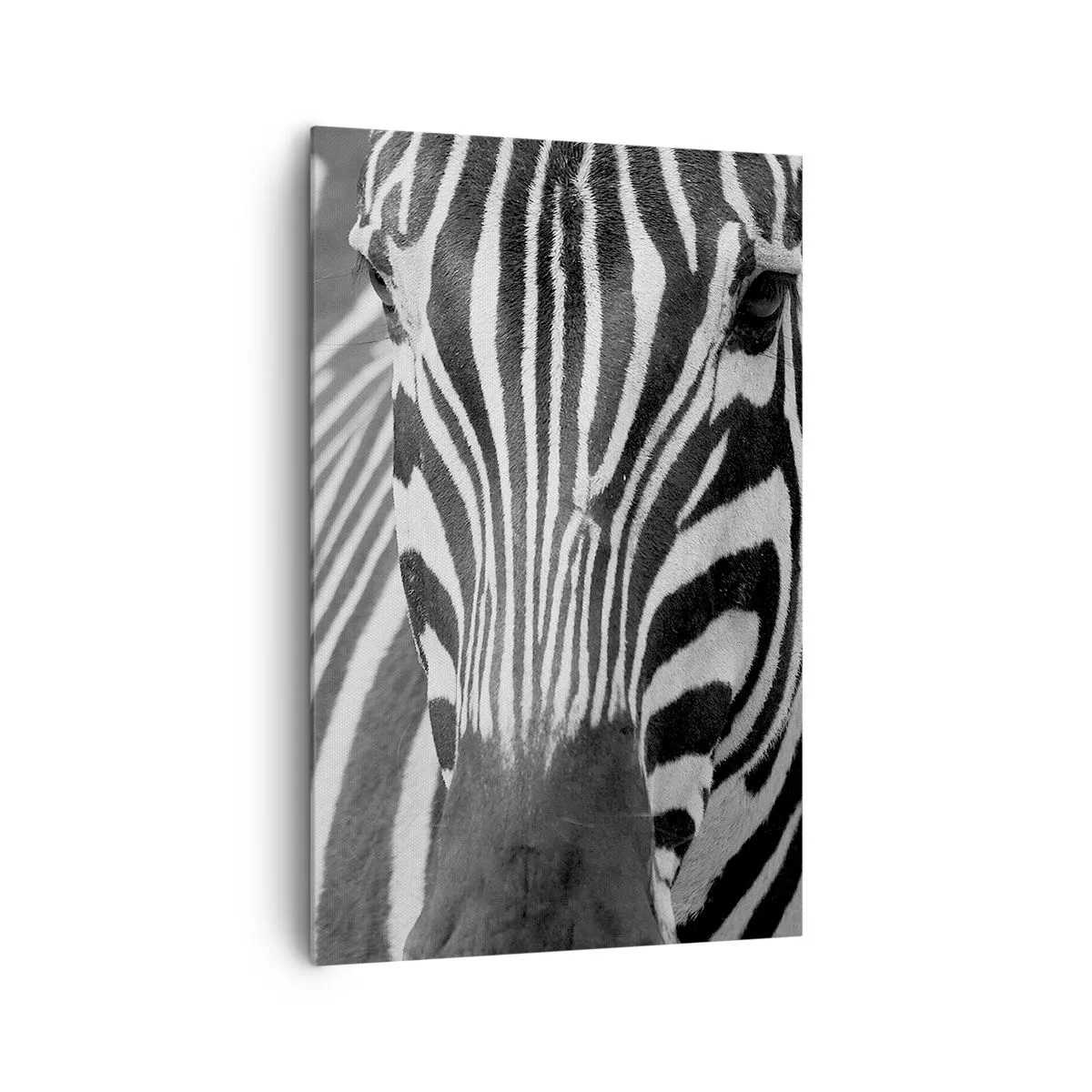 Obraz na płótnie - Czarno-białe zbliżenie zebry z charakterystycznymi pasami - 80x120cm - Świat jest czarno-biały - Nowoczesna dekoracja ścienna do salonu i sypialni ARTTOR