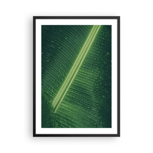 Plakat w czarnej ramie - Zbliżenie na zielony liść z kroplami wody - 50x70cm - Struktura zieleni - Nowoczesna dekoracja ścienna do salonu i sypialni ARTTOR