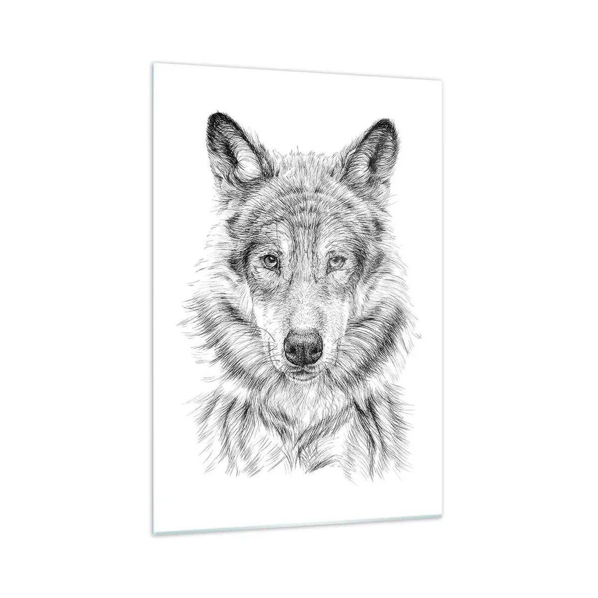 Obraz na szkle - Szkic głowy wilka w monochromatycznym stylu na białym tle - 70x100cm - Urodzony przywódca - Nowoczesna dekoracja ścienna do salonu i sypialni ARTTOR