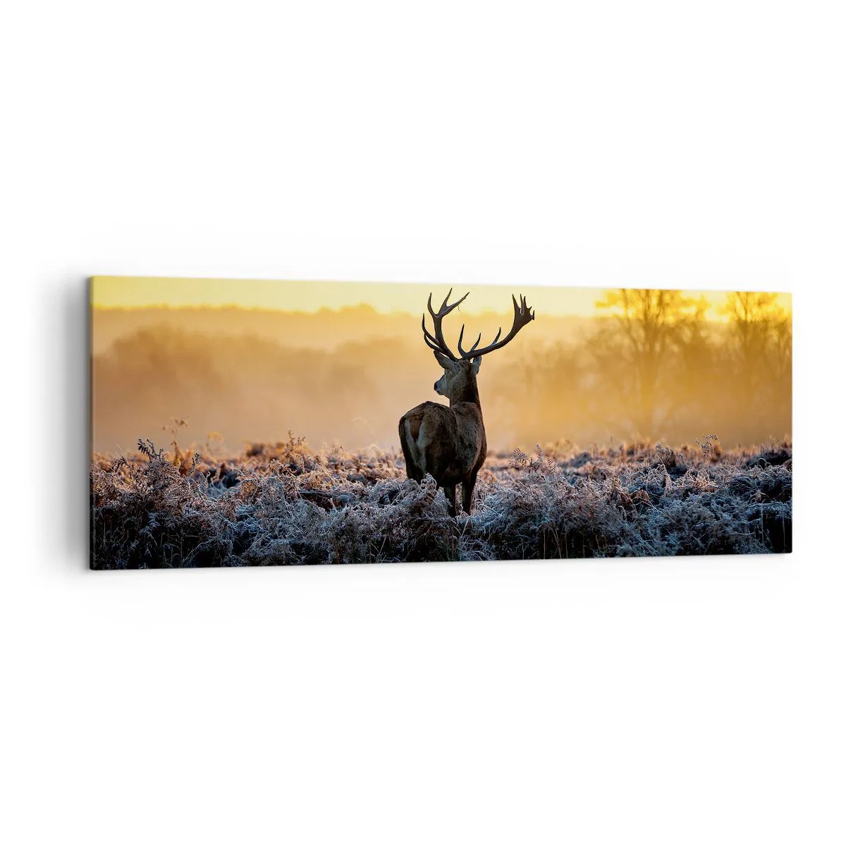 Obraz na płótnie - Jeleń na mroźnej polanie o wschodzie słońca - 140x50cm - Koronowany na swoich włościach - Nowoczesna dekoracja ścienna do salonu i sypialni ARTTOR