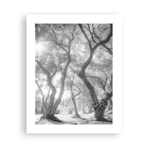 Plakat - W oliwnym gaju - 40x50 cm