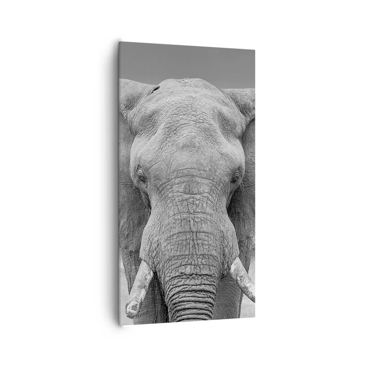 Obraz na płótnie - Witaj w moim świecie - 65x120 cm