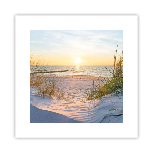 Plakat - Morza szum, ptaków śpiew, dzika plaża pośród traw… - 30x30 cm