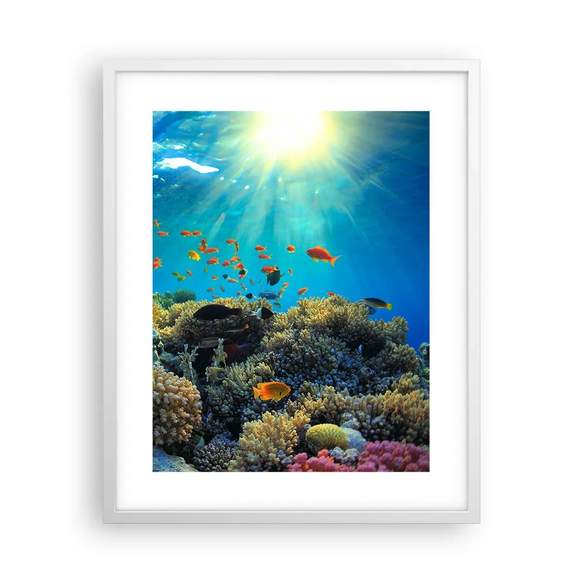 Plakat w białej ramie - Podwodne skarby - 40x50 cm