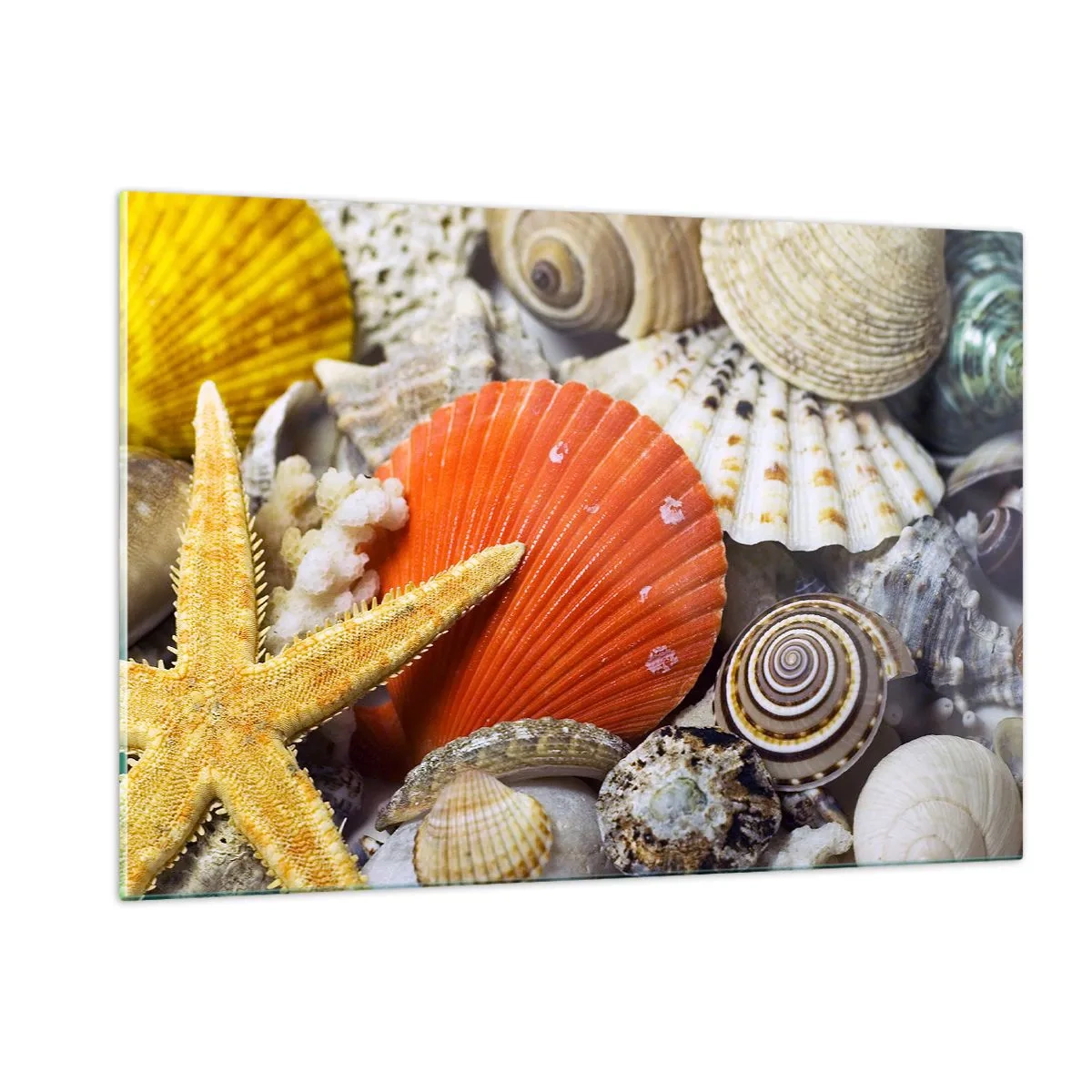 Obraz na szkle - Kolorowe muszle i rozgwiazda w morskiej kompozycji - 120x80cm - Skarby oceanu - Nowoczesna dekoracja ścienna do salonu, kuchni i sypialni ARTTOR
