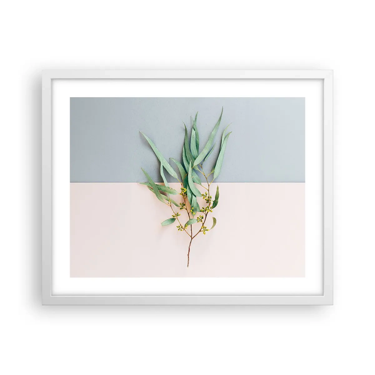 Plakat w białej ramie - Pastelowa subtelność - 50x40 cm