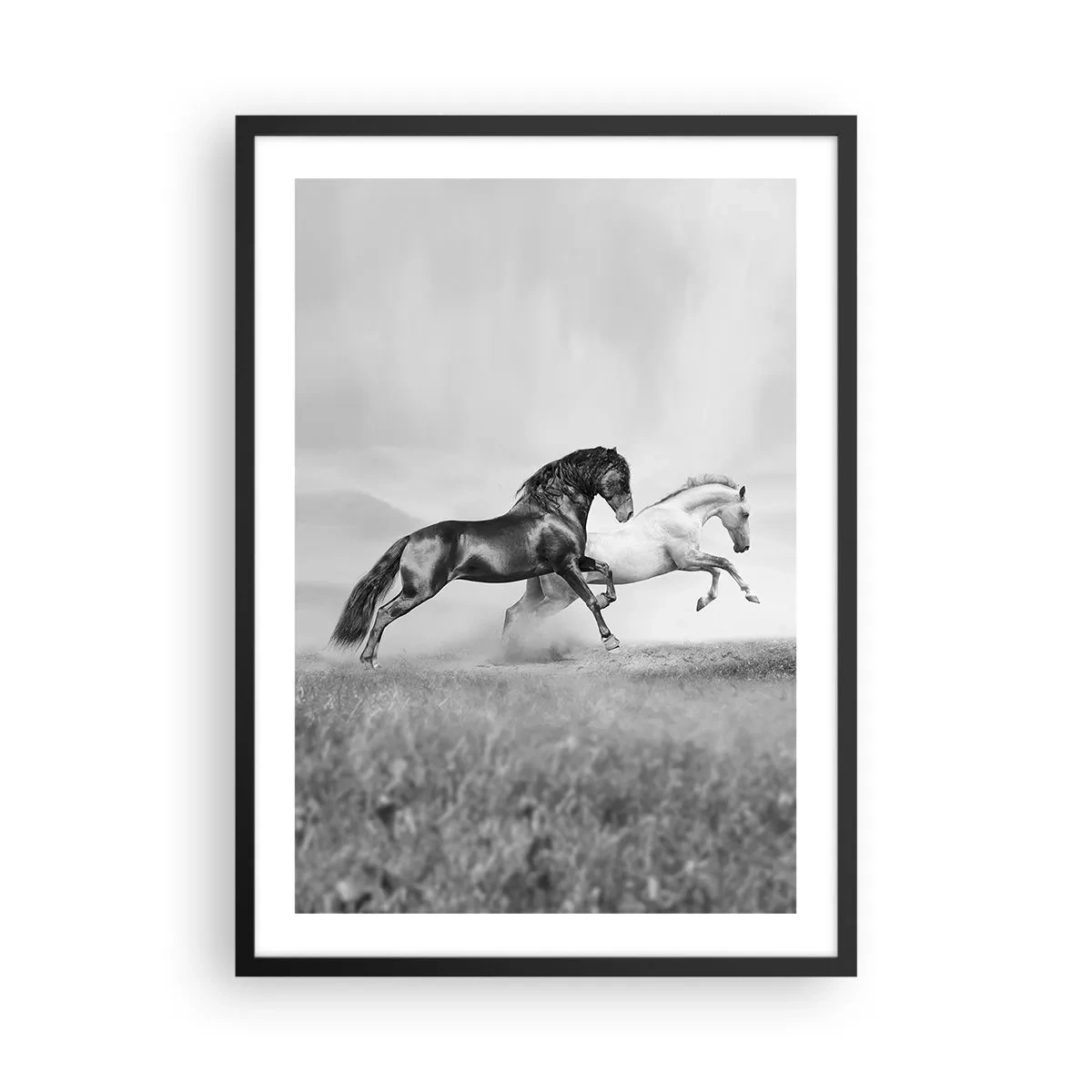 Plakat w czarnej ramie - Czarno-białe konie w dynamicznym galopie na tle pola - 50x70cm - Anioły i demony - Nowoczesna dekoracja ścienna do salonu i sypialni ARTTOR