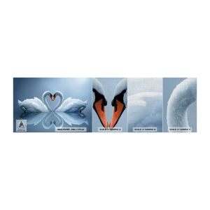 Fototapeta Próbka Premium Canvas - Czas na miłość - Łabędzie, Miłość, Serce - 100x30 cm