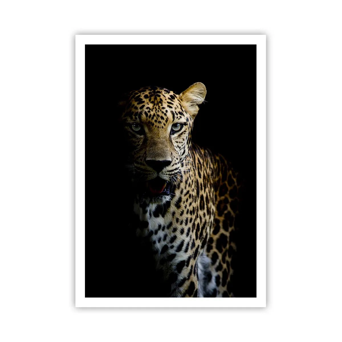 Plakat - Mroczne piękno - 70x100 cm
