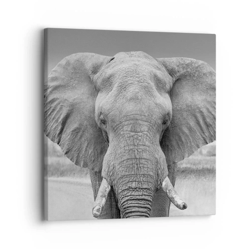 Obraz na płótnie - Witaj w moim świecie - 30x30 cm