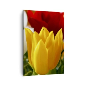Obraz na płótnie - Kolorowe tulipany w zbliżeniu na wiosennym tle - 70x100cm - Tulipanowa gorączka - Nowoczesna dekoracja ścienna do salonu i sypialni ARTTOR