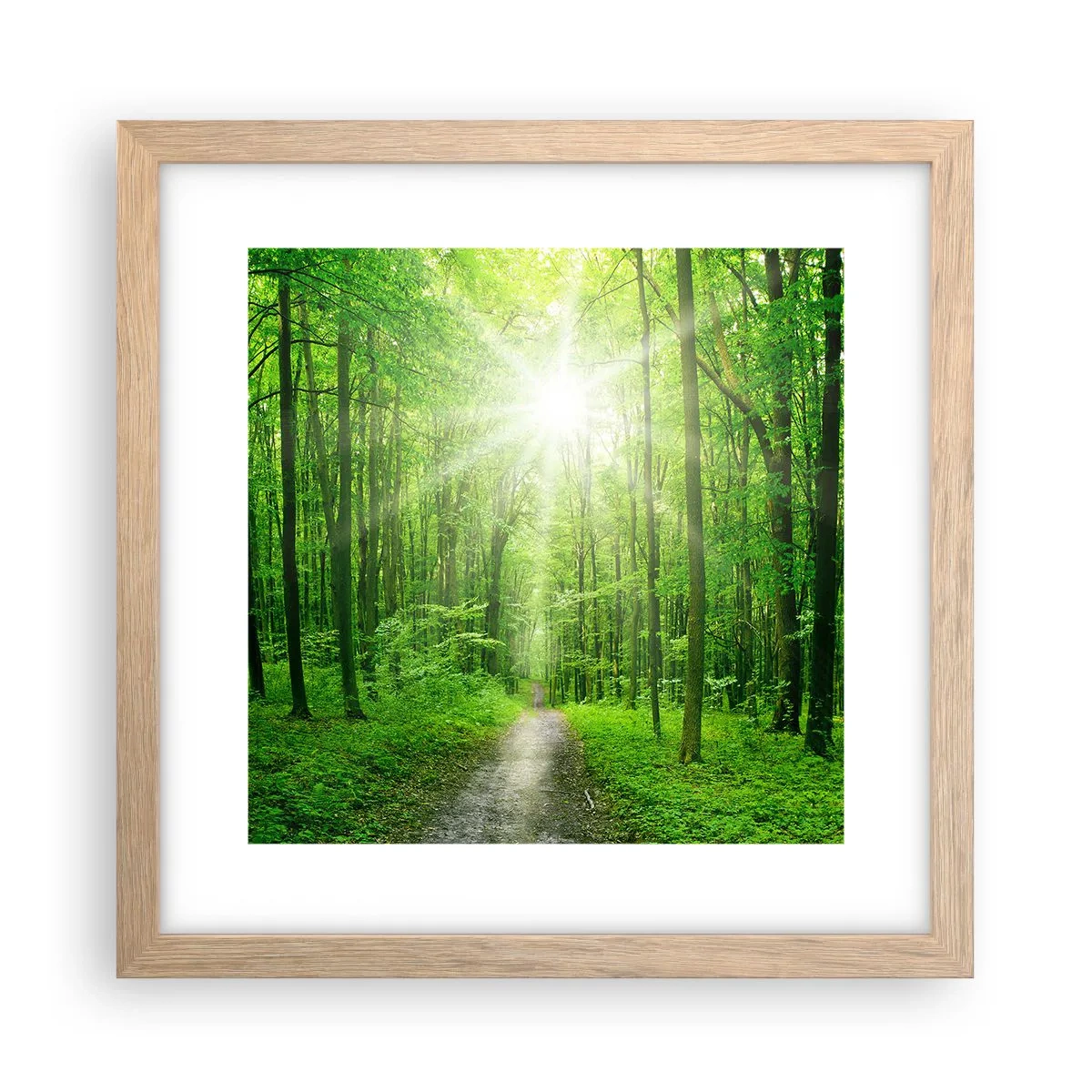 Plakat w ramie jasny dąb - Zielona katedra - 30x30 cm