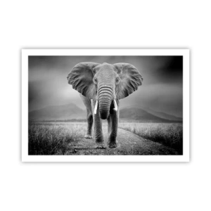 Plakat - Gospodarz wita - 91x61 cm