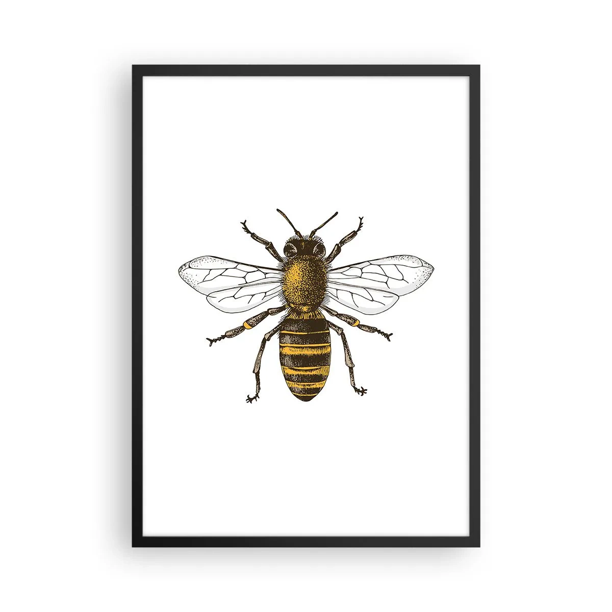 Plakat w czarnej ramie - Detaliczna ilustracja pszczoły w stylu vintage - 50x70cm - Piękna i dobra - Nowoczesna dekoracja ścienna do salonu i sypialni ARTTOR