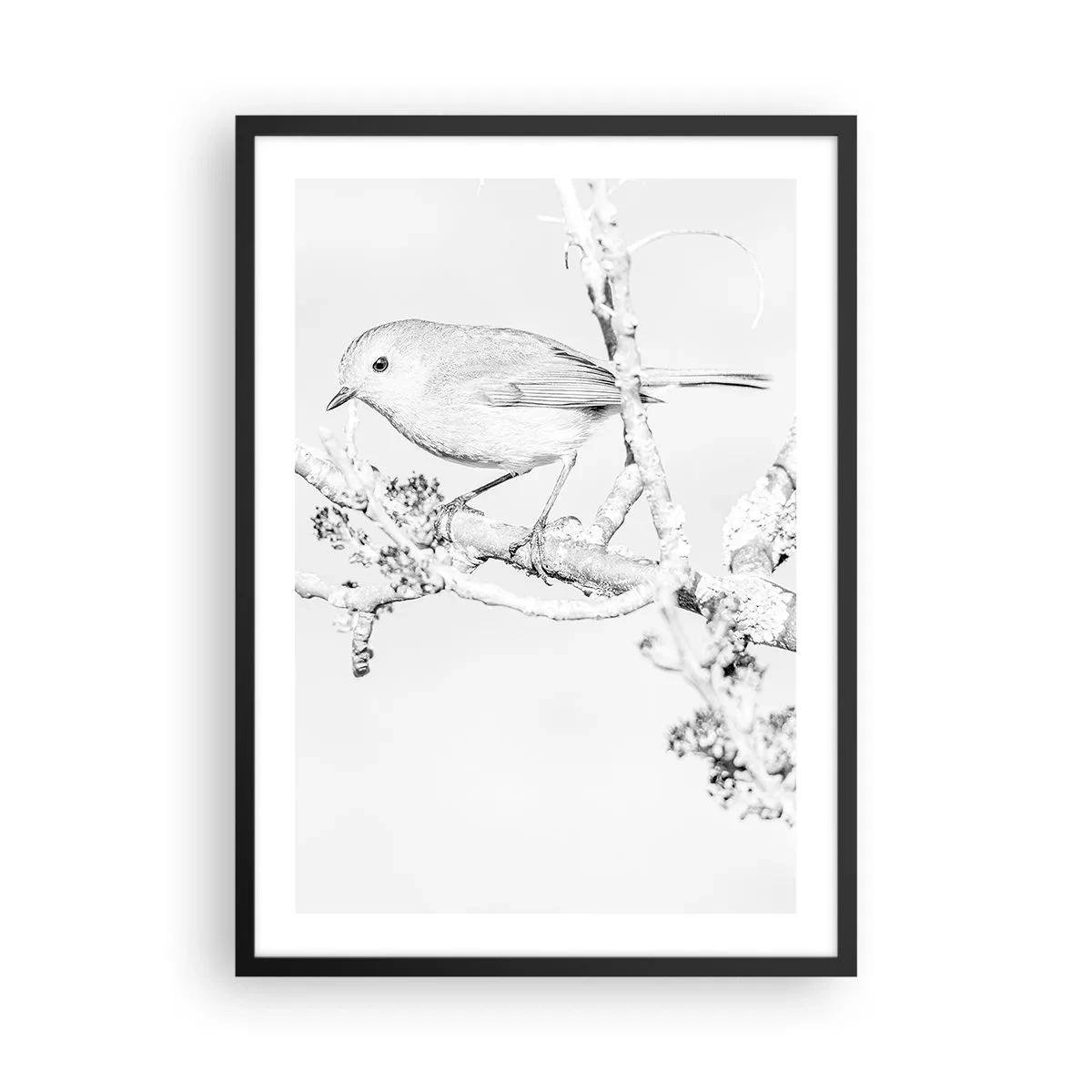 Plakat w czarnej ramie - Czarno-biały rysunek ptaka na gałęzi - 50x70cm - Zimowy poranek - Nowoczesna dekoracja ścienna do salonu i sypialni ARTTOR