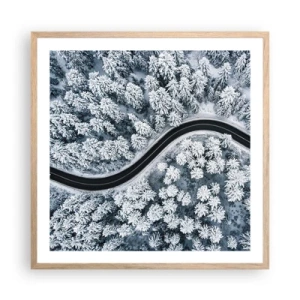 Plakat w ramie jasny dąb - Przez zimowy las - 60x60 cm