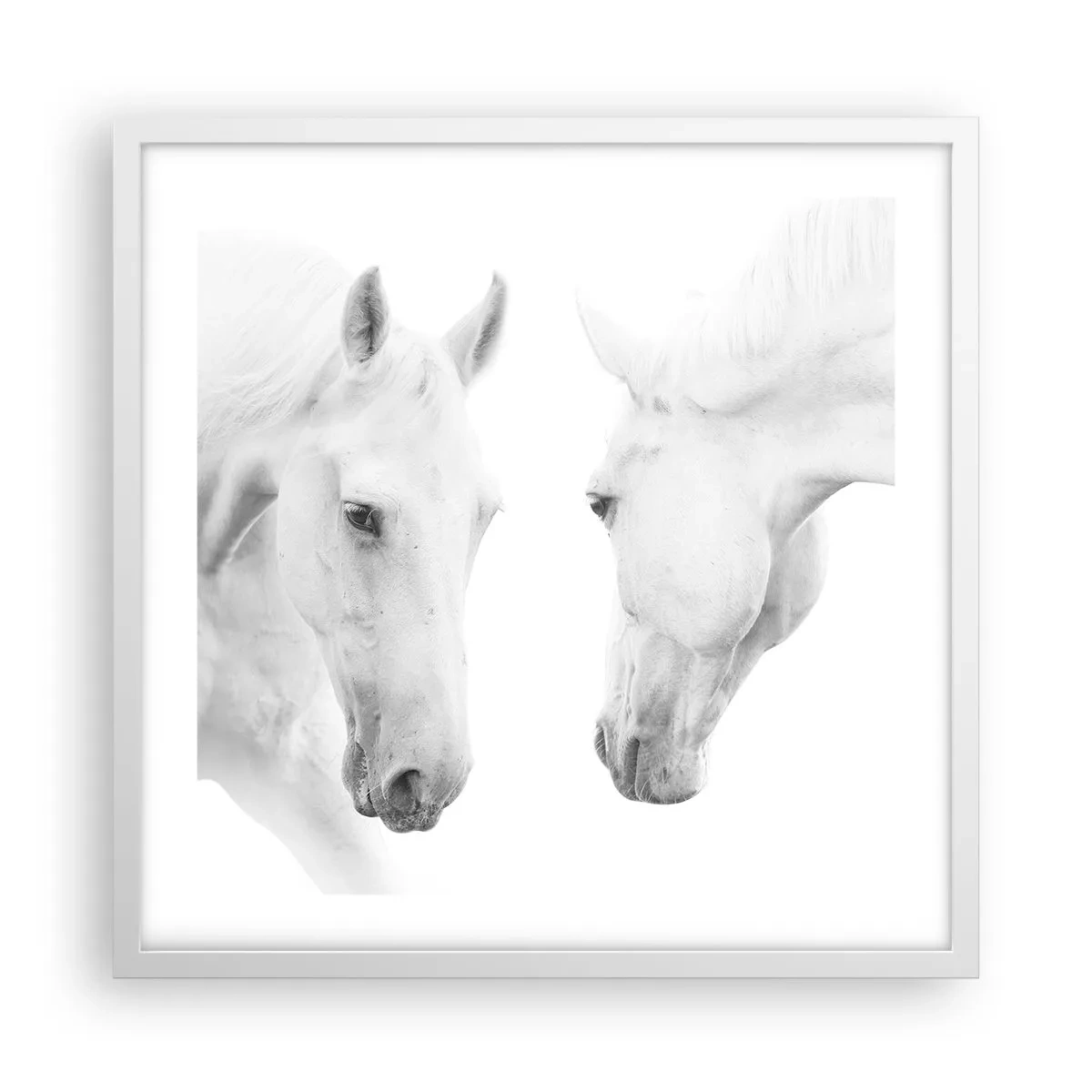 Plakat w białej ramie - Czy to jest przyjaźń…? - 50x50 cm