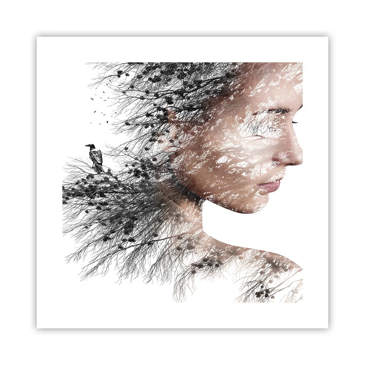 Plakat - Duch lasu - 40x40 cm