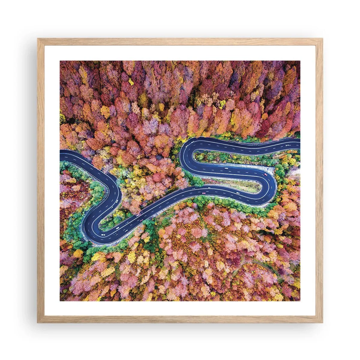Plakat w ramie jasny dąb - Krętą drogą poprzez las - 60x60 cm