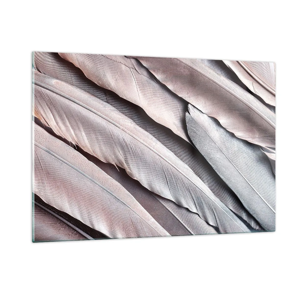 Obraz na szkle - Zbliżenie na pastelowe pióra w odcieniach różu i srebra - 120x80cm - W różowej srebrzystości - Nowoczesna dekoracja ścienna do salonu, kuchni i sypialni ARTTOR