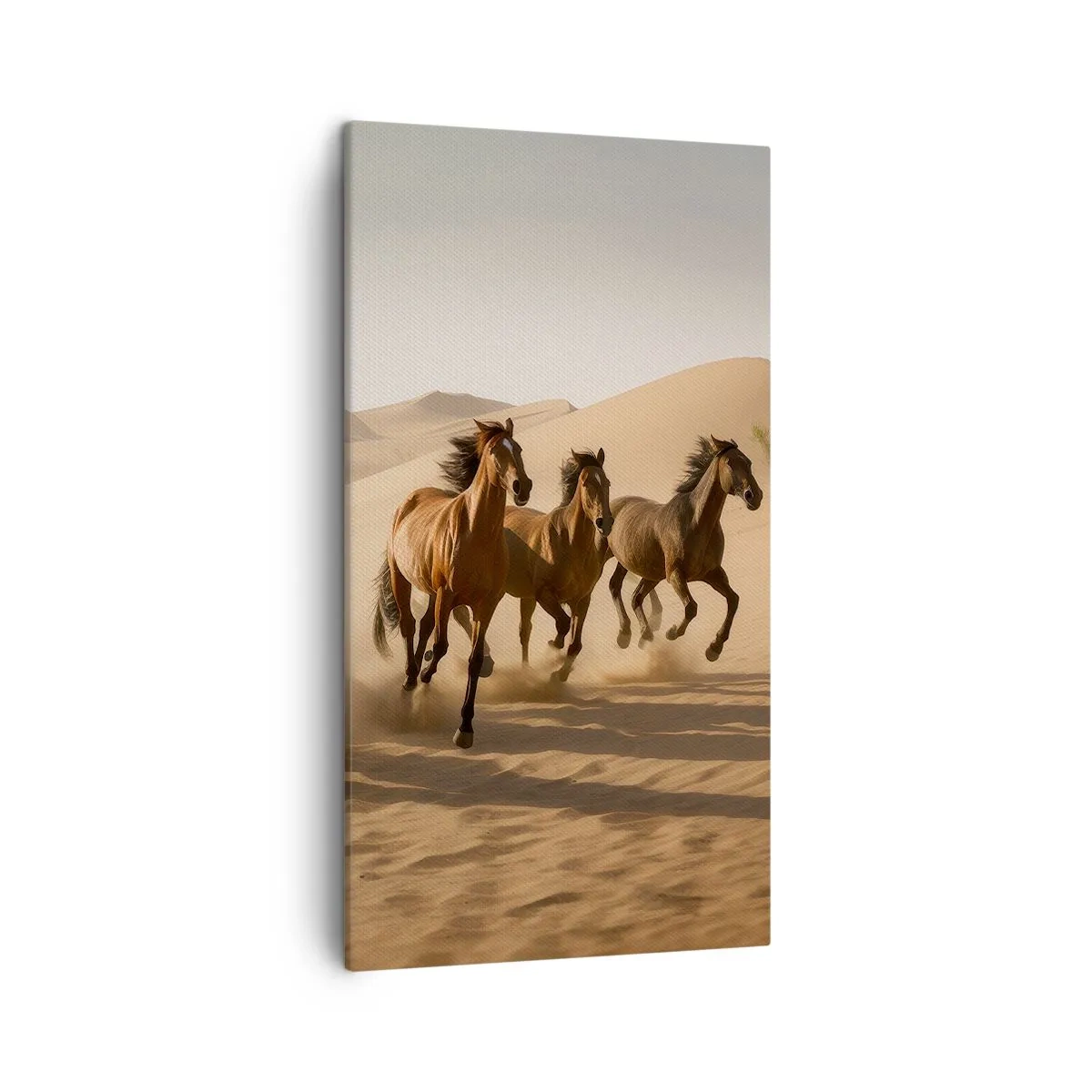 Obraz na płótnie - Wolne jak wiatr - 45x80 cm