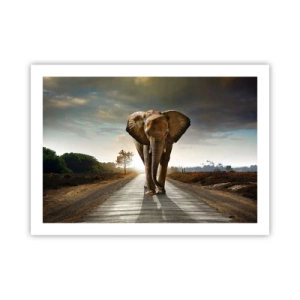 Plakat - I wcale nie w składzie porcelany - 70x50 cm