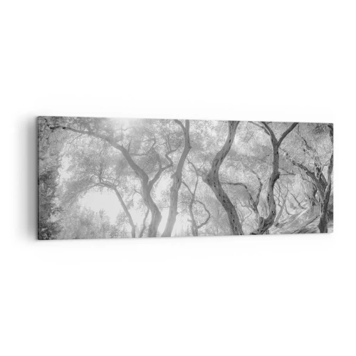 Obraz na płótnie - Czarno-biały widok na drzewa w oliwnym gaju z promieniami słońca - 140x50cm - W oliwnym gaju - Nowoczesna dekoracja ścienna do salonu i sypialni ARTTOR