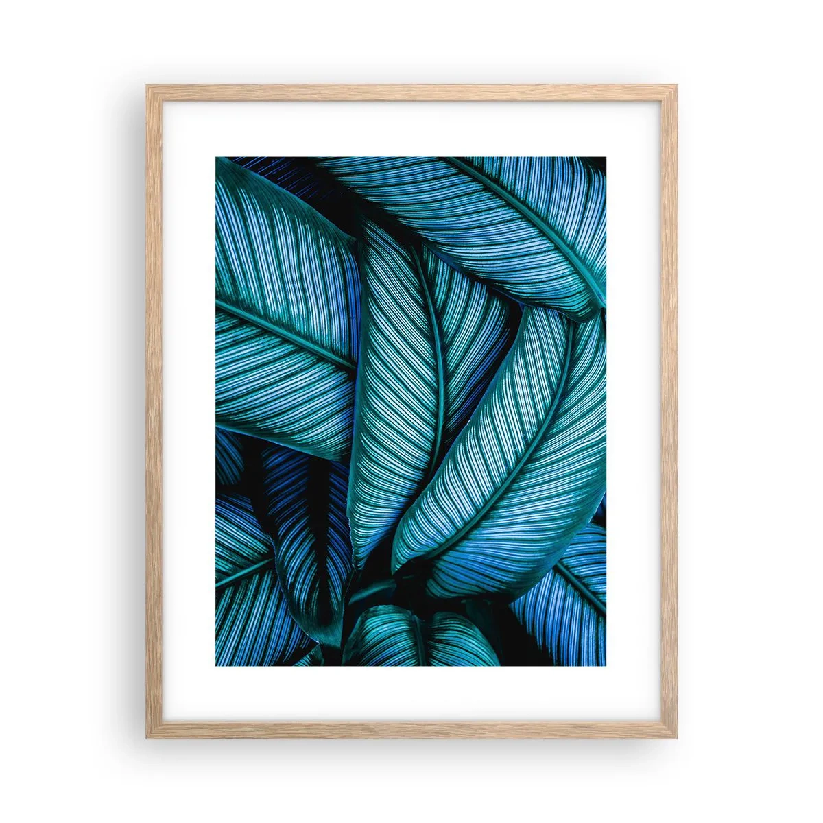 Plakat w ramie jasny dąb - Linie życia - 40x50 cm