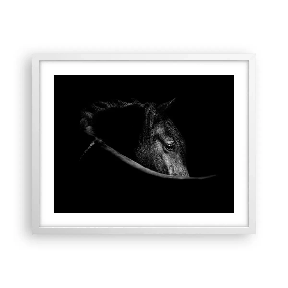 Plakat w białej ramie - Czarny książę - 50x40 cm
