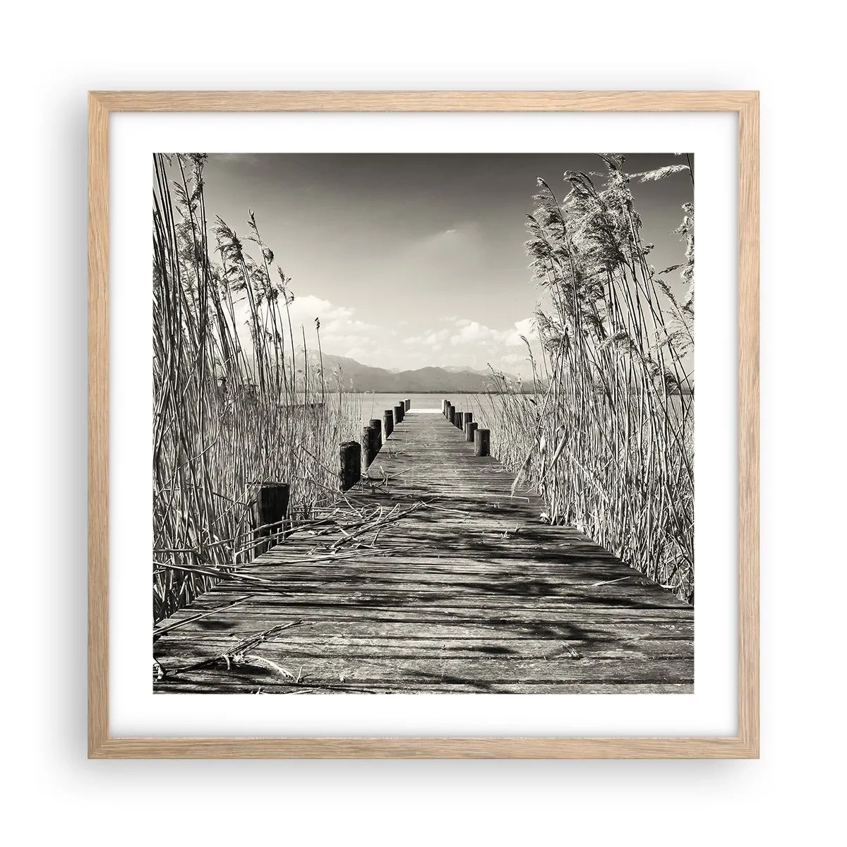 Plakat w ramie jasny dąb - W zaciszu traw - 50x50 cm