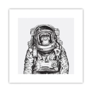 Plakat - Alternatywna ewolucja - 30x30 cm