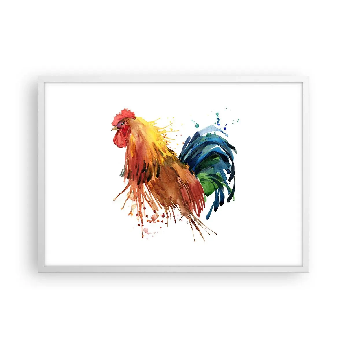 Plakat w białej ramie - Królewska szata, królewska duma - 70x50 cm