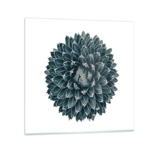 Obraz na szkle - Gwiazda pustyni - 30x30 cm