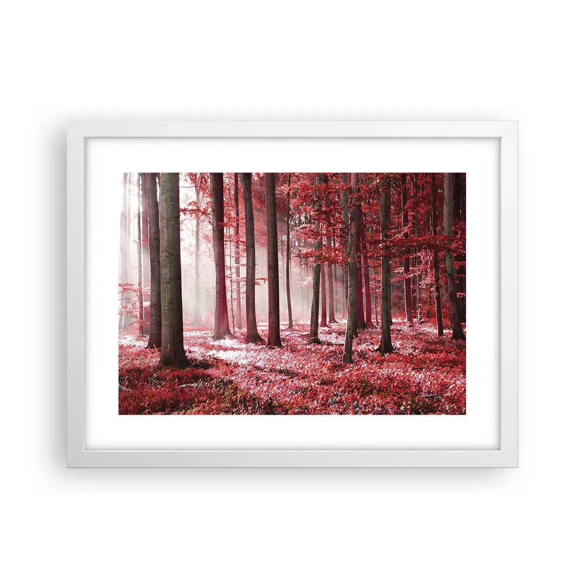 Plakat w białej ramie - Czerwony równie piękny - 40x30 cm