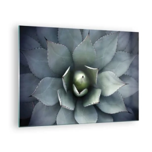 Obraz na szkle - Zbliżenie symetrycznych liści agawy o stalowej barwie - 70x50cm - Wabi i przestrzega - Nowoczesna dekoracja ścienna do salonu i sypialni ARTTOR