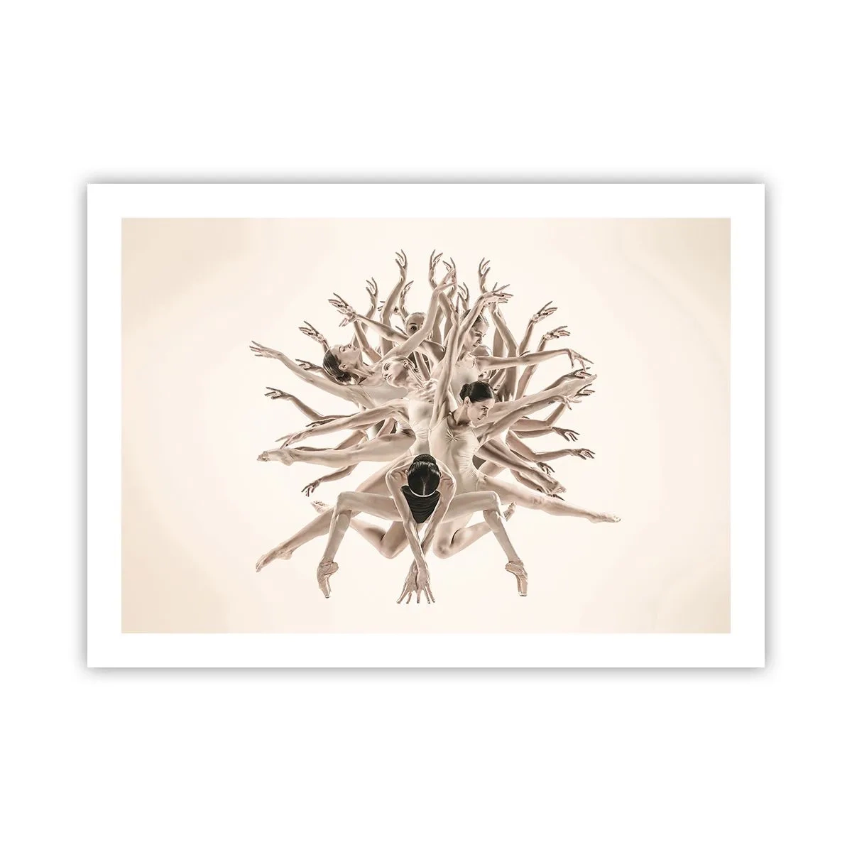 Plakat - Rozkwitanie w tańcu - 70x50 cm