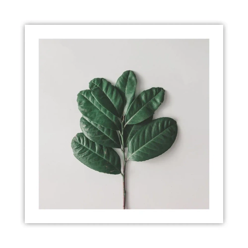Plakat - Rysunek samej natury - 50x50 cm