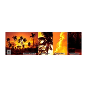 Fototapeta Próbka Standard Eco - Płoną góry, płoną lasy - Palmy, Tropiki, Słońce - 100x30 cm